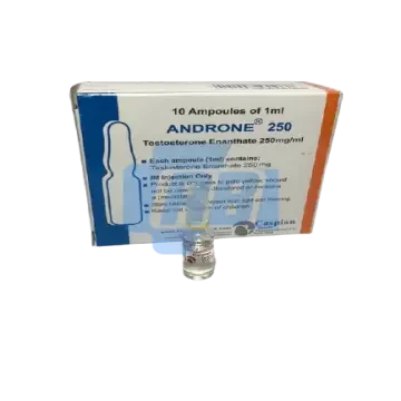 Androne 250 (PharmaGrade Testo Enanthate) - 10 X 1ML AMPOULES (250MG/1ML)