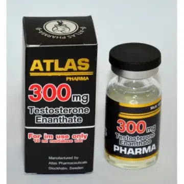 TESTOSTERONE ENANTHATE 300 - 10 ML / 3000 MG
