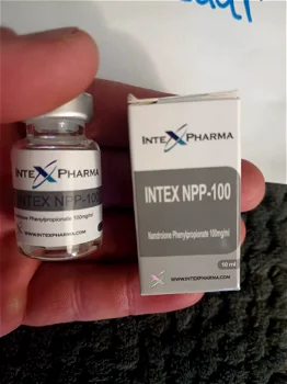 Touchdown 1219 - NPP-100 - INTEX PHARMA